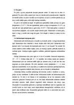 Referāts 'Pirtis', 7.