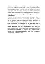 Referāts 'Pirtis', 9.