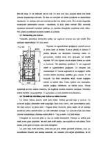Referāts 'Pirtis', 12.