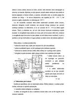 Referāts 'Pirtis', 15.