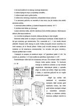 Referāts 'Pirtis', 16.