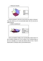 Referāts 'Pirtis', 19.