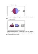 Referāts 'Pirtis', 21.