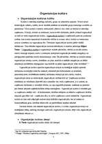 Referāts 'Vadības teorija', 3.