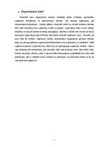 Referāts 'Vadības teorija', 5.