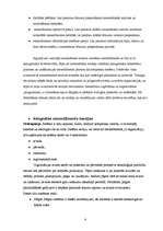 Referāts 'Vadības teorija', 8.