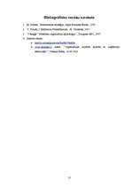 Referāts 'Vadības teorija', 13.