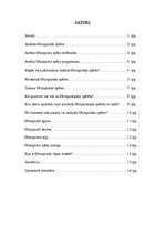 Referāts 'Olimpiskās spēles', 3.