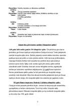 Referāts 'Olimpiskās spēles', 7.