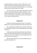 Referāts 'Olimpiskās spēles', 13.