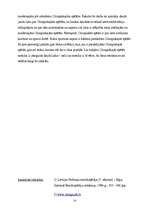 Referāts 'Olimpiskās spēles', 17.