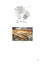 Prezentācija 'Kenzo Tange', 20.