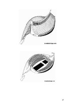 Prezentācija 'Kenzo Tange', 27.