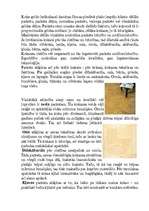 Referāts 'Parketa grīdu segumi', 5.