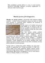 Referāts 'Parketa grīdu segumi', 7.