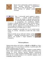 Referāts 'Parketa grīdu segumi', 8.