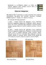 Referāts 'Parketa grīdu segumi', 13.