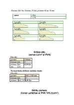 Referāts 'Parketa grīdu segumi', 16.