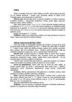 Referāts 'Elpošanas orgānu sistēmas saslimšanas un izsargāšanās no tām', 3.