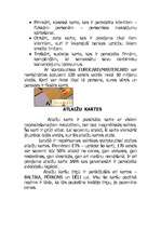 Referāts 'Kredītkartes', 2.