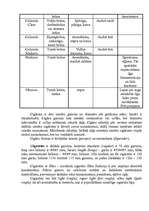 Referāts 'Tabakas izstrādājumu klasifikācija Latvijas kombinētajā nomenklatūrā', 5.