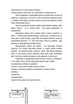 Referāts 'Lēmumu pieņemšana', 5.