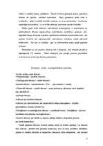 Referāts 'Lēmumu pieņemšana', 9.