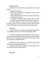 Referāts 'Vēzis', 11.