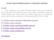 Prezentācija 'Cilvēka cieņas filozofiskie pamati un aizsardzība mūsdienās', 1.