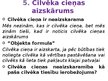 Prezentācija 'Cilvēka cieņas filozofiskie pamati un aizsardzība mūsdienās', 6.