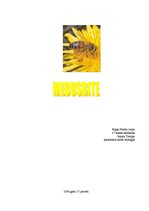 Konspekts 'Medus bite', 1.