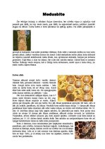 Konspekts 'Medus bite', 2.