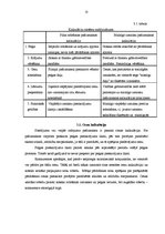 Prakses atskaite 'Prakses pārskats vadības grāmatvedībā', 13.