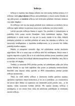 Eseja 'Inflācija', 1.