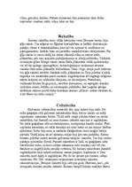 Referāts 'Senā Divupe', 6.