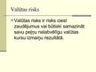 Prezentācija 'Valūtas risks un tā pārvaldīšana', 2.