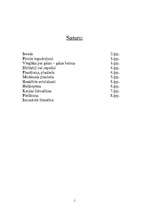 Referāts 'Par lidošanu', 1.