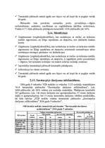 Referāts 'Riska analīzes informācijas izmantošana tematiskajās pārbaudēs VID RRI', 29.