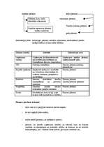 Konspekts 'Bilances analīze', 2.