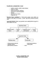 Konspekts 'Bilances analīze', 5.