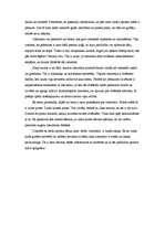 Eseja 'Katram cilvēkam literatūras debesis ir citādākas', 2.