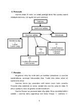 Referāts 'Viesnīca “Ainavas”', 6.