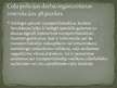 Prezentācija 'Gadījumi, kad par administratīvajiem pārkāpumiem ceļu policijas darbinieks sastā', 4.