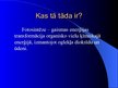 Prezentācija 'Fotosintēze', 2.