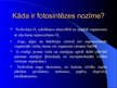 Prezentācija 'Fotosintēze', 11.