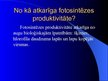 Prezentācija 'Fotosintēze', 16.