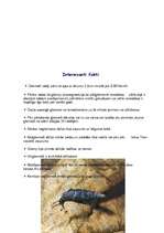 Referāts 'Gliemji', 9.