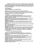 Eseja 'SPA - nenovērtēts biznesa potenciāls', 2.