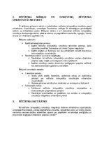 Referāts 'Rēallaika laikapstākļu simulācija arhitektūras vizualizācijās izmantojot program', 4.