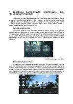 Referāts 'Rēallaika laikapstākļu simulācija arhitektūras vizualizācijās izmantojot program', 10.